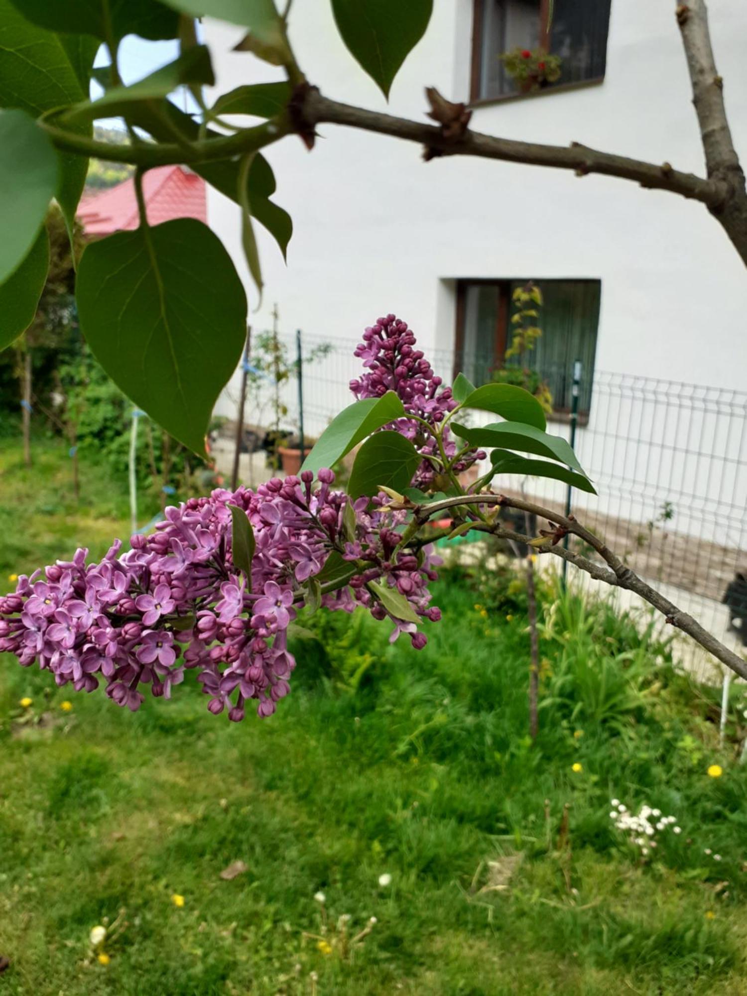 R-House Apartment บราชอฟ ห้อง รูปภาพ